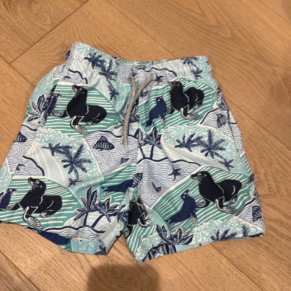 Vilbebrequin Swim Trunks